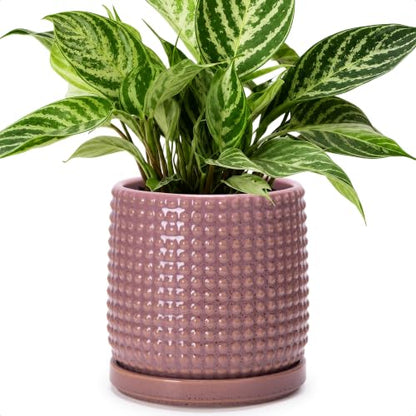 D'vine Dev Beaded Ceramic Pot with Saucer, 6 in, Blush Mauve, 27-C-X-K - color: Blush Mauve, size: 5.8 Inch