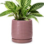 D'vine Dev Beaded Ceramic Pot with Saucer, 6 in, Blush Mauve, 27-C-X-K - color: Blush Mauve, size: 5.8 Inch