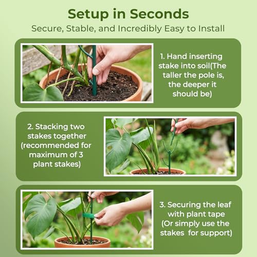 Monstera Plant Support Stakes Indoor - 10 Pack Stackable Garden Trellis for Potted Climbing Pothos Support - Durable All-in-One Tall Plant Sticks Pole for Modern Home Gardening (10 Pack)