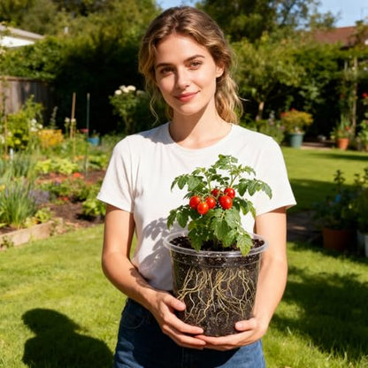 MIXC Clear Nursery Pots with Drainage Holes, 5/4/3.5 Inch 30 Pack - size: 3.5/4/5 Inch-30 Pack