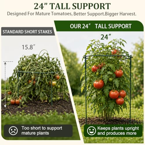 6-Pack Peony Cages and Supports,14"/25" Tall Adjustable for Garden Plant
