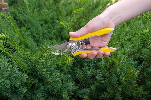Dramm ColorPoint Stainless Steel Compact Garden Pruning Shears, Hand Pruner, Garden Clippers, with Heavy Duty Blade and Easy grip Handle, Red - color: Red, style: Classic