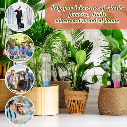 SiliFine 6 Sets Terracotta Watering Spikes,Clear and Mixed Color - color: Clear and Mixed Color
