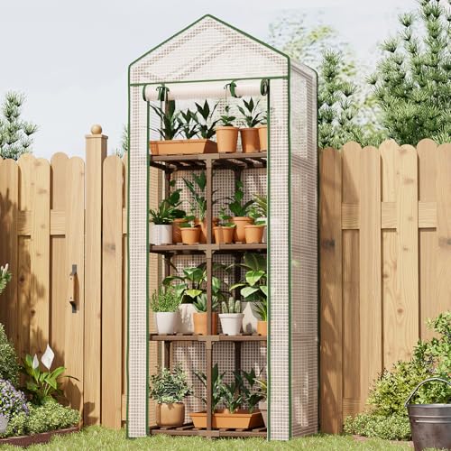 Bamworld 4 Tier Mini Greenhouse Portable Green House with PE Cover for Indoor Outdoor - size: 4 Tier Single Layer Roof