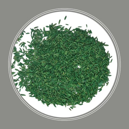 Pennington Contractors Central Grass Seed Mix, 7 lb - size: 7 Lb