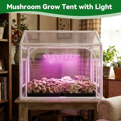 Mini Indoor Greenhouse with Grow Lights & Timer 3 Light Color Mode