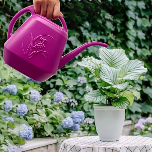 Plant Watering Can - Plastic for Indoor and Outdoor Home Plant - 1/2 Gallon - Rose Red - color: Rose Red
