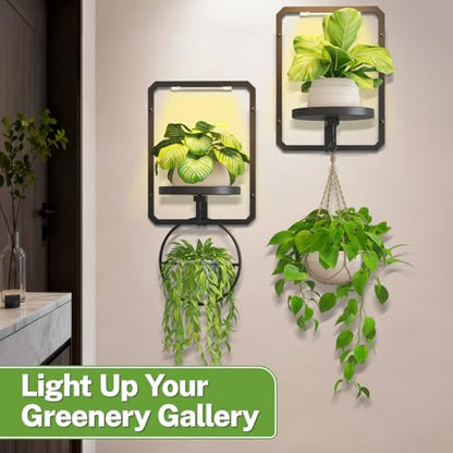 iDavosic.ly Wall Plant Picture Frame Holder Set of 2 & 2 Grow Lights, Black - color: Black with 2 Lights, size: Rectangular