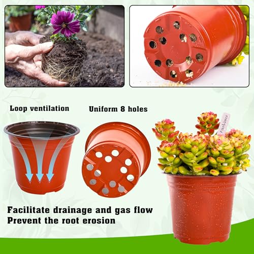 TDHDIKE 6" Plastic Plant Nursery Pots 100Pcs with 100 Labels - size: 6inch100