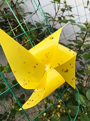 Faicuk Yellow Dual-Sided Sticky Fly Traps for Plant Insect, 10 Pack - size: 10 PACK