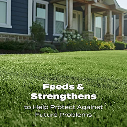 Scotts Turf Builder Lawn Food, 12.5 lbs. - size: 5,000 sq. ft.