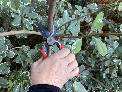 Corona BP 7200 Forged Pro Cut Bypass Hand Pruner, 1-Inch, Red - size: 1 in