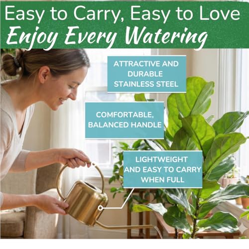Stainless Steel Houseplant Watering Can, Brushed Silver, 1L Capacity - color: Silver