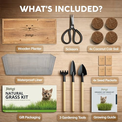 Cat Grass Kit for Indoor Cats – x4 Seed Packets