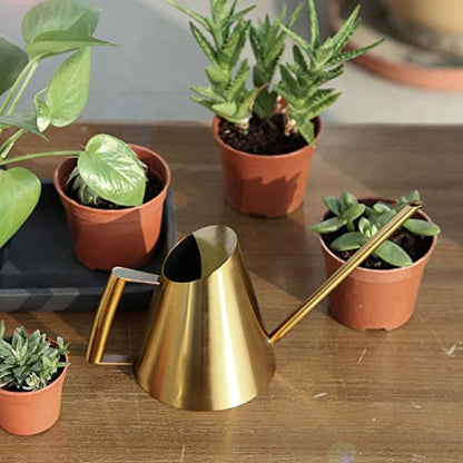 Gold Watering Can 1500ml Stainless Steel Cans Indoor Plants