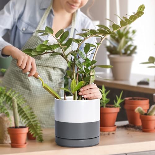 D'vine Dev 2-Pack Ceramic Pots with Saucers, White/Grey, 4/6 in, 94-G-S-6 - color: White/Speckled Grey, size: Small