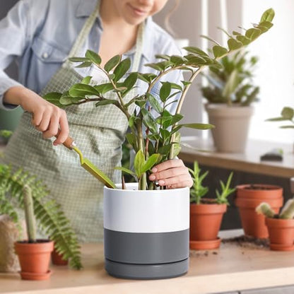 D'vine Dev 2-Pack Ceramic Pots with Saucers, White/Grey, 4/6 in, 94-G-S-6 - color: White/Speckled Grey, size: Small