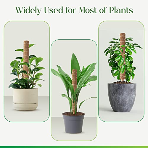 Pisol Moss Pole for Plants Monstera, Extendable Plant Sticks Support, 2Pcs