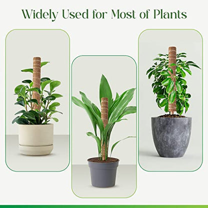 Pisol Moss Pole for Plants Monstera, Extendable Plant Sticks Support, 2Pcs