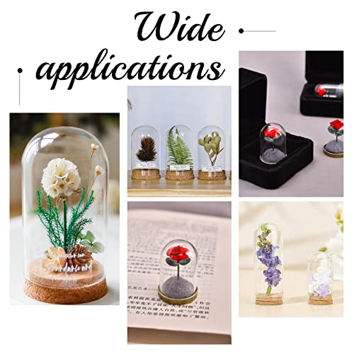 PH PandaHall 10pcs Glass Display Dome Cloche 20ml Bottles 1.1x2.8inch - size: 1.1 x 2.7 inches