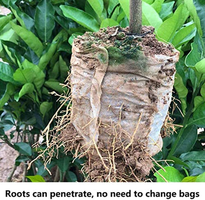 200Pcs Nursery Growing Bags, 5.8"x5" Small Grow Bag for Plants, Fabric Plant pots, Potato, Flower, Tomato Solid Seed Starter - size: 200pcs 5.8"x5"