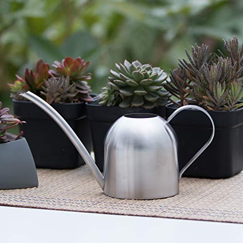 Watering Can for Indoor Plants, 450ml/15oz Stainless Steel - size: Silver 15 oz