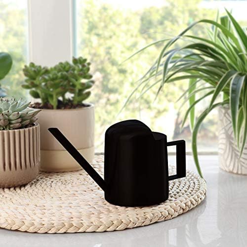 Mini Watering Can, 10oz/300ml Stainless Steel Long Spout Small Watering Can for Indoor Plants Succulents, Herbs (Black) - color: Black