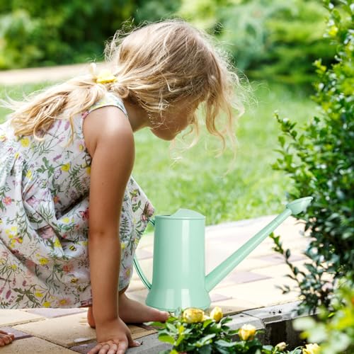 XXXFLOWER Small Watering Can, 67oz (1/2 Gallon) Indoor Houseplants Green - size: Green-2L