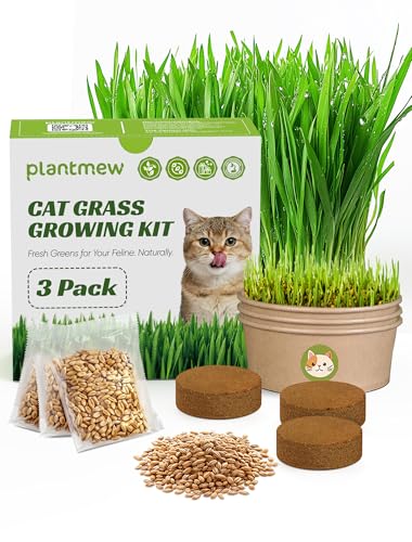 Cat Grass Kit for Indoor Cats, 3 Pack Fast Growing Cat Grass Kit with Eco-Friendly Biodegradable Pots, Soil & Wheatgrass Seeds, Grows in 3-7 Days with High Germination Rate