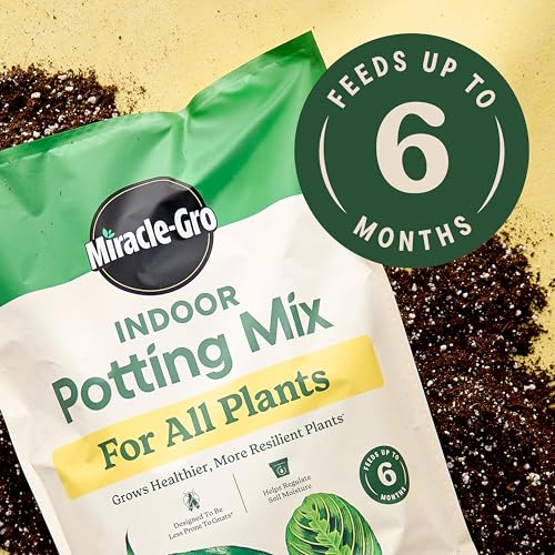 Miracle-Gro Indoor Plant Grow, Feed & Protect Houseplant Care Bundle - size: 6 qt (2-Pack)