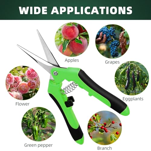 EWPJDK 3 Pack Garden Pruning Shears Scissors Clippers (Multicolor) - style: Multicolor