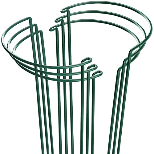 HiGift Plant Support Stakes, 6 Pack Metal Peony Cages and Supports, Garden Stakes Plant Support Cage, Large Plant Support Ring for Outdoor Indoor Snake Plant Peony Rose Flowers Vine (10" W x 15.8" H) - color: Green - 6 Pack, size: 10" W x 15.8" H