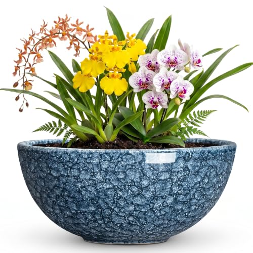Bowl Planter, 12 Inch Ceramic Succulent Planters, Scale Blue - color: Scale Blue-1, size: 12 Inch