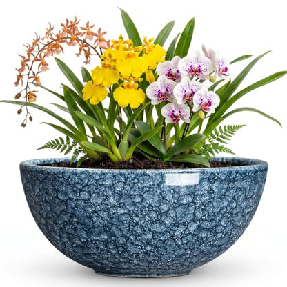 Bowl Planter, 12 Inch Ceramic Succulent Planters, Scale Blue - color: Scale Blue-1, size: 12 Inch