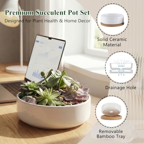 ZOUTOG 4 Pack 6" Ceramic Succulent Pots, White Planters with Drainage Tray - color: 4 Pack, size: 2.28 Inch High