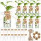 Ysglory 24 Pack 3.54'' Plant Propagation Stations 4oz Plastic Vases Jars