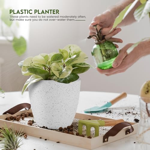 Plant Pots Indoor with Drainage 5 Pack Multi-Size Planters Set Spotty Grey - color: Speckled Grey, size: Pack of 5