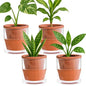 D'vine Dev Self Watering Terracotta Planter Pot, 4 in, 4-Pack, 37-Z-A-1-F - color: Terracotta
