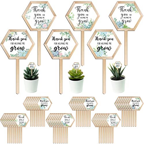 Amyhill 48 Pcs Thank You for Helping Me Grow Succulent Tags for Teachers - style: Teacher Style