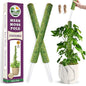 DUSPRO 2 Pack 22" Green Stackable Mesh Moss Pole for Plants - color: 2pcs Green