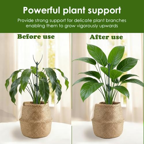 Stackable Monstera Moss Pole, 5 PCS Natural Coir Plant Support Stakes. - size: 5 Pack