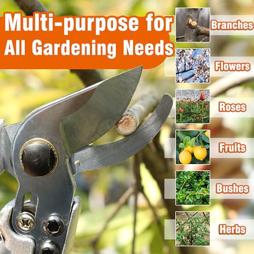 Gardzen 8" Bypass Prunning Shear Garden Scissors - style: Curved Blade