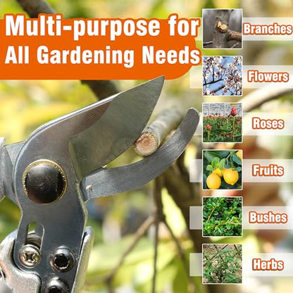 Gardzen 8" Bypass Prunning Shear Garden Scissors - style: Curved Blade