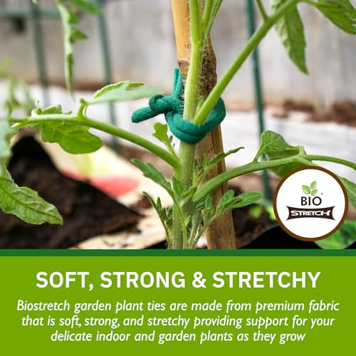 Bio-Stretch Soft Garden Twine & Plant Ties for Outdoor Plants, 2 Ball Green - size: 130 ft / 40M