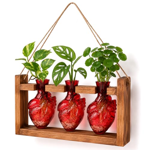 Plant Terrarium Propagation Stations Hydroponics Human Heart Shape Vase with Wooden Stand Halloween Heart Planter Glass Vases for Hydroponics Home Garden Office Decor (Mulberry) - color: Mulberry