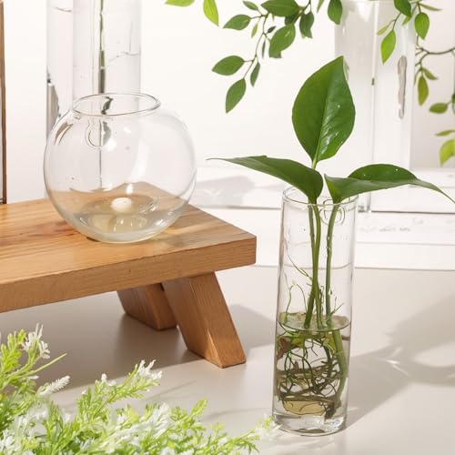 Baderke 6 Pcs Glass Wall Hanging Vase with Suction Cup Plastic Invisible