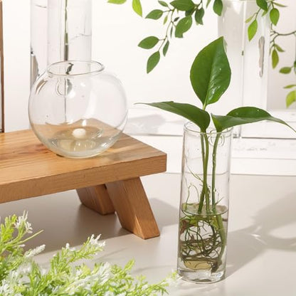 Baderke 6 Pcs Glass Wall Hanging Vase with Suction Cup Plastic Invisible