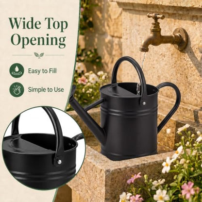 1 Gallon Metal Watering Can for Indoor Outdoor Plants, Classic Black