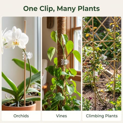 50Pcs Transparent Plant Orchid Clips,Flowers Fixer for Garden Vine Stem Plants Climbing Clasp for Support,Orchid Clips for Plants Support Garden Stakes