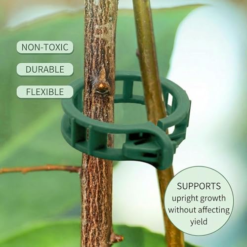 300Pcs Tomato Clips, Reusable Plant Support Clips for Climbing Plants, Garden Clips for Tomato Vine, Trellis Clips for String Trellis, Plant Fixing Clips for Vegetables (Green)